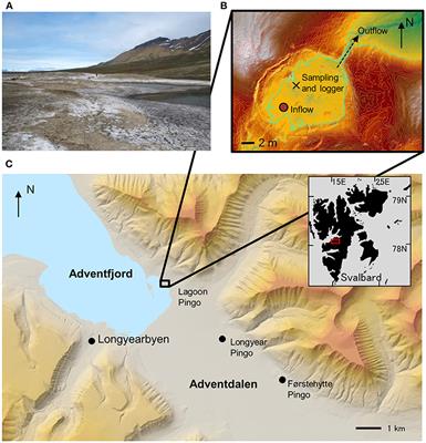 Seasonal Dynamics of Methane and Carbon Dioxide Evasion From an Open System Pingo: Lagoon Pingo, Svalbard